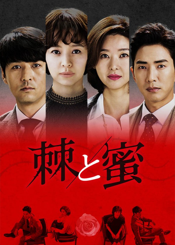 【韓国ドラマ】DVD『危険な約束』(全話) レンタル落ち コ・セウォン「棘と蜜」 韓国ドラマ 危険な約束 Blu-ray全話
